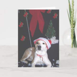 Jerzy-tweede-Kerstmis Feestdagen Kaart