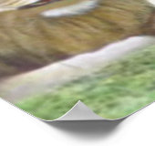 Jesaja 11: 6 Leeuw en het Lam Poster (Hoek)