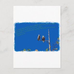 Jesaja 40:31 Witte rand Briefkaart