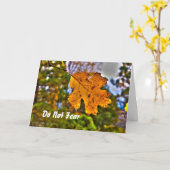 Jesaja 41:10 Aanmoediging Kaart (Gele Bloem)