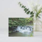 Jesmond Dene Briefkaart (Staand voorkant)