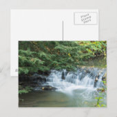 Jesmond Dene Briefkaart (Voorkant / Achterkant)