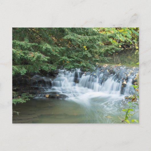Jesmond Dene Briefkaart (Voorkant)