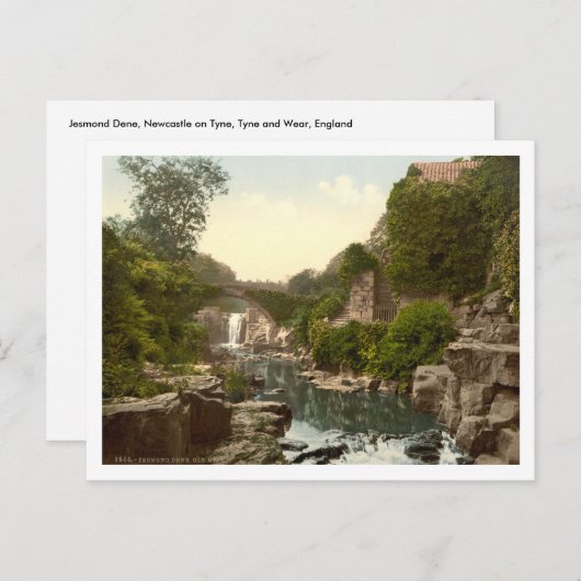 Jesmond Dene II, Newcastle-upon-Tyne, Engeland Briefkaart (Voorkant / Achterkant)
