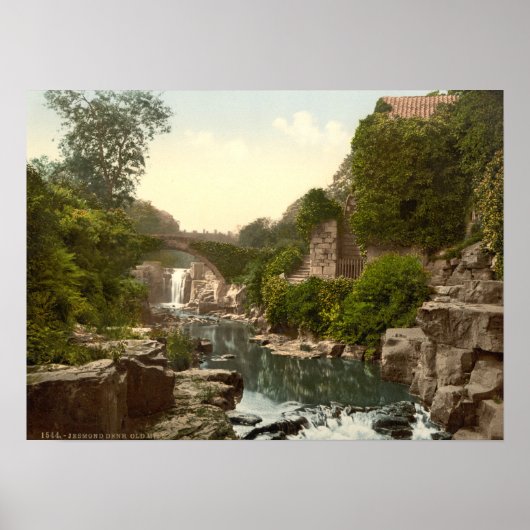 Jesmond Dene II, Newcastle-upon-Tyne, Engeland Poster (Voorkant)