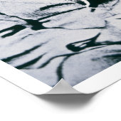 Jesse Chisholm (foto) Poster (Hoek)