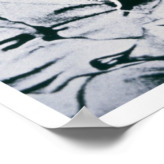 Jesse Chisholm (foto) Poster (Hoek)