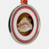 Jesse Tree Shell Ornament #1 (Rechts)