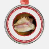 Jesse Tree Shell Ornament #1 (Voorkant)