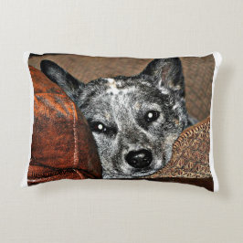 Jessie...de Texas Heeler Pillow Accent Kussen