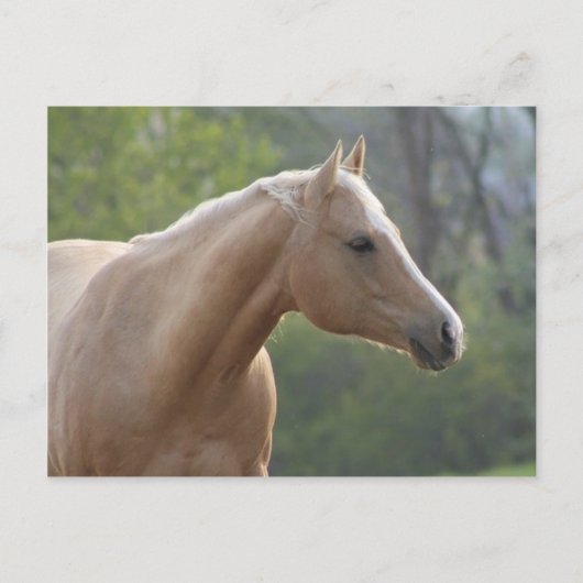 Jessie Rey Freckle Briefkaart (Voorkant)