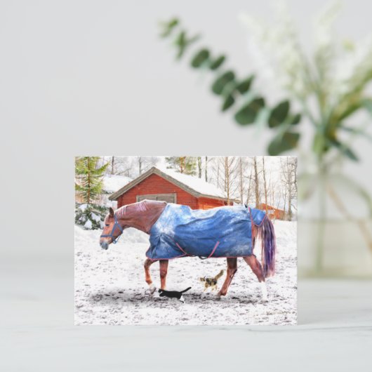 "Jessie's New Blanket" Briefkaart (Staand voorkant)