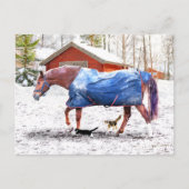 "Jessie's New Blanket" Briefkaart (Voorkant)