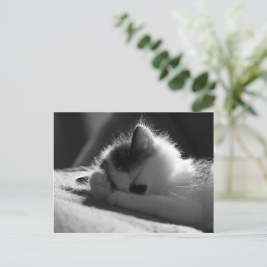 jessy jane - Briefkaart (Staand voorkant)