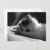 jessy jane - Briefkaart (Voorkant / Achterkant)