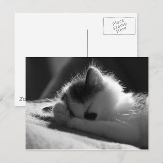 jessy jane - Briefkaart (Voorkant / Achterkant)