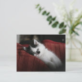 Jessy Jane - briefkaart (Staand voorkant)