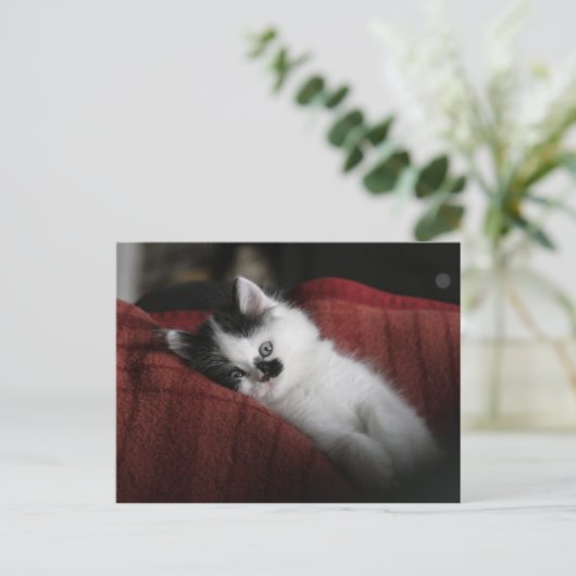 Jessy Jane - briefkaart (Staand voorkant)