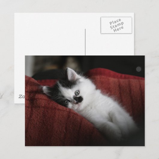 Jessy Jane - briefkaart (Voorkant / Achterkant)