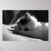 Jessy Jane - Small poster (Voorkant)