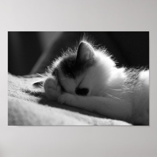 Jessy Jane - Small poster (Voorkant)