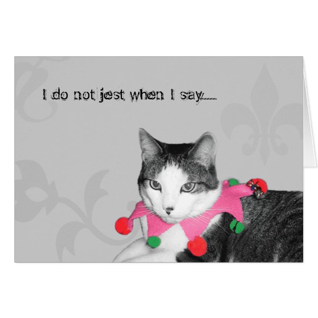 Jester Cat (Voorkant Horizontaal)