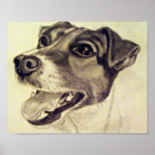 Jester de Jack Russell Terrier Poster