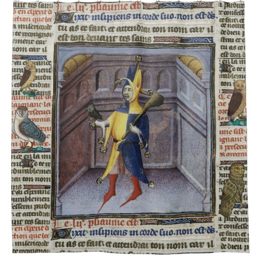 JESTER HOLDING OWL MEDIEVAL MANUSCRIPT DOUCHEGORDIJN (Voorkant)