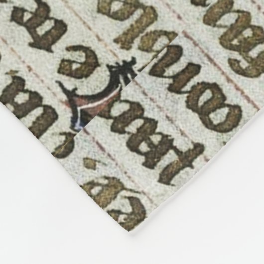 JESTER HOLDING OWL MEDIEVAL MANUSCRIPT FLEECE DEKEN (Hoek)