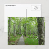 Jesup Path Boardwalk Trail Briefkaart (Voorkant / Achterkant)