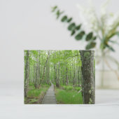 Jesup Path Boardwalk Trail Briefkaart (Staand voorkant)