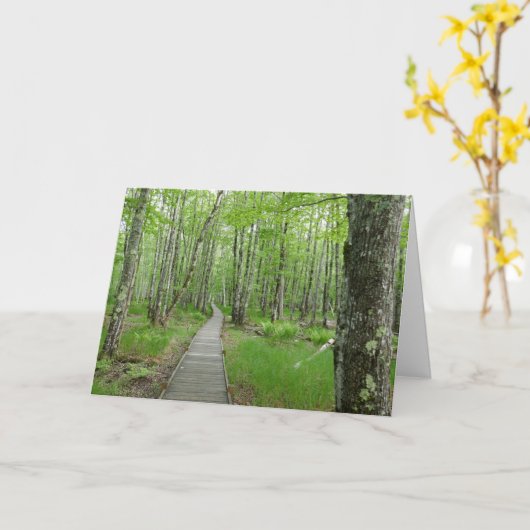 Jesup Path Boardwalk Trail Kaart (Gele Bloem)