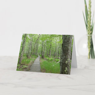 Jesup Path Boardwalk Trail Kaart