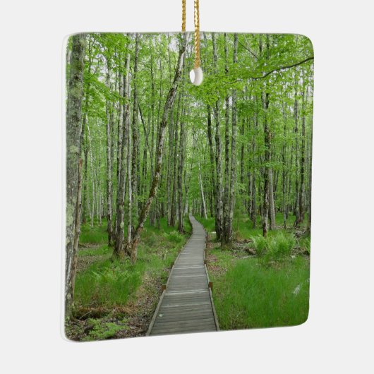 Jesup Path Boardwalk Trail Keramisch Ornament (Rechts)