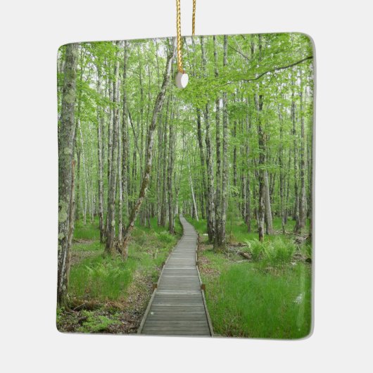 Jesup Path Boardwalk Trail Keramisch Ornament (Links)