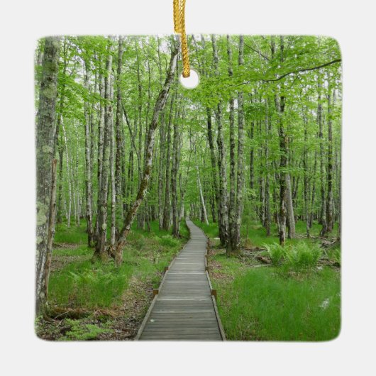 Jesup Path Boardwalk Trail Keramisch Ornament (Voorkant)