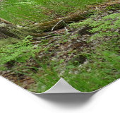 Jesup Path Boardwalk Trail Poster (Hoek)