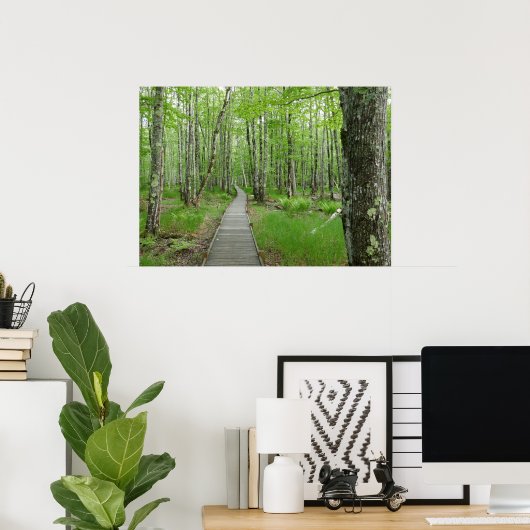 Jesup Path Boardwalk Trail Poster (Thuiskantoor)
