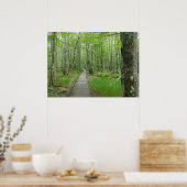 Jesup Path Boardwalk Trail Poster (Keuken)