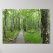 Jesup Path Boardwalk Trail Poster (Voorkant)