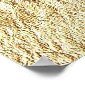 Jesus Fish Symbol Poster (Hoek)