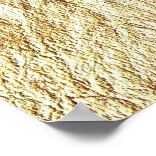 Jesus Fish Symbol Poster (Hoek)