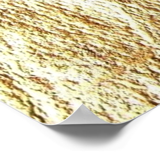 Jesus Fish Symbol Poster (Hoek)