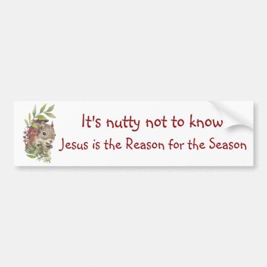 "Jesus is the reason for the season" Fun Squirrel  Bumpersticker (Voorkant)