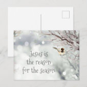 Jesus Kerstcitaat Cute Winter Frost Bird Feestdagenkaart (Voorkant / Achterkant)