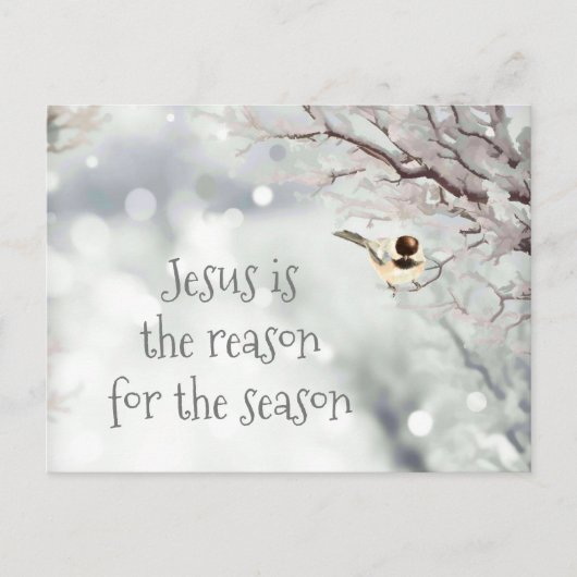 Jesus Kerstcitaat Cute Winter Frost Bird Feestdagenkaart (Voorkant)