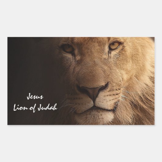 Jesus Lion van het Inspirerend Christelijke citaat Rechthoekige Sticker (Voorkant)