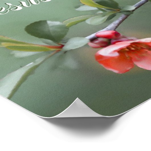 Jesus Lives Spring Flowers Bijbel Verse Pasen Poster (Hoek)