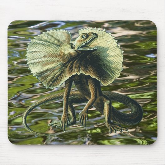 Jesus Lizard Mousepad Muismat (Voorkant)