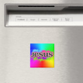 Jesus Neon Static (regenboog) Magneet (Insitu (Vaatwasser))
